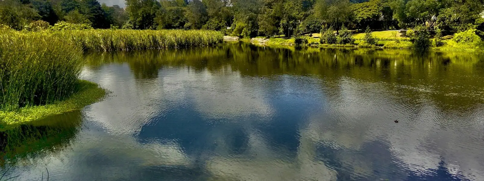 Bogotรก, Colombia
